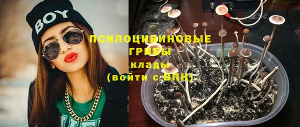 прущие крисы Вязьма
