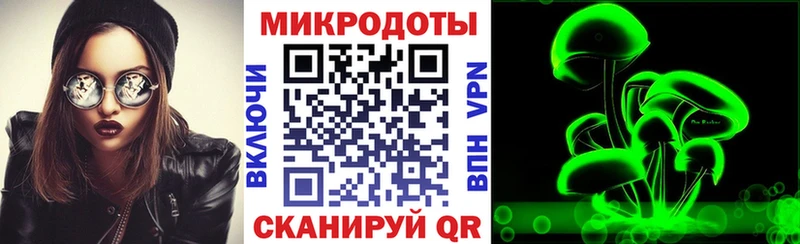 Галлюциногенные грибы Psilocybe  blacksprut ТОР  Голицыно 